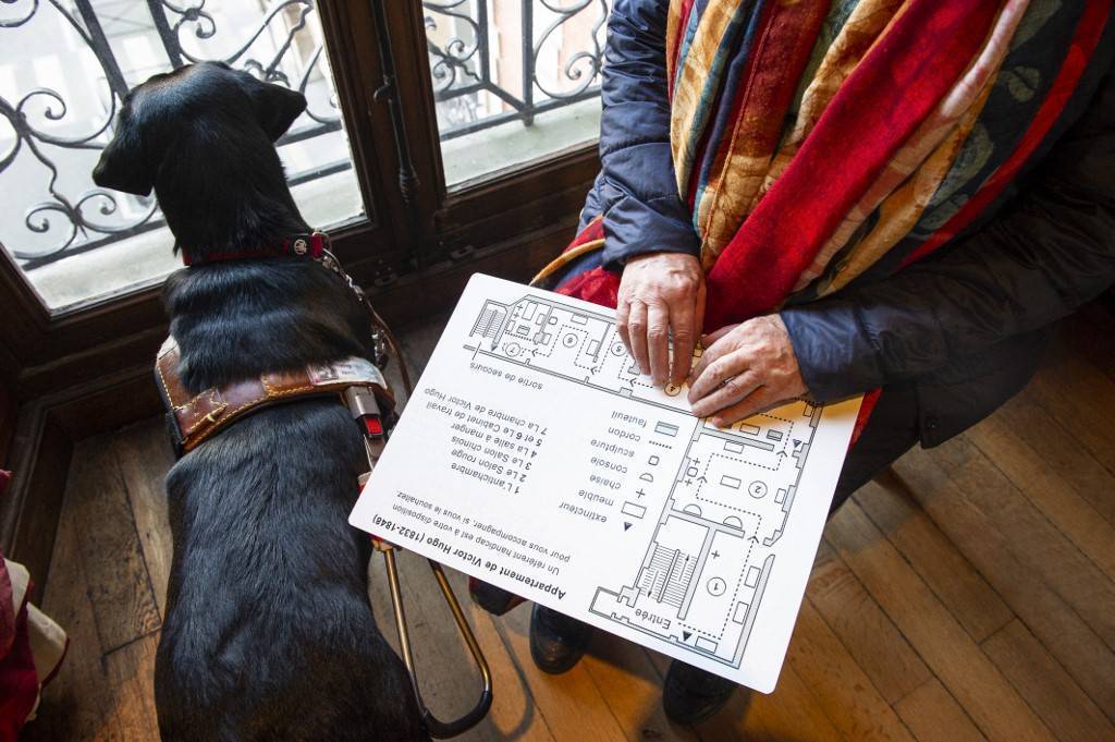 photo d'une personne qui touche un plan en braille en tenant un chien en laisse