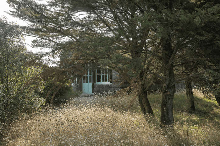 photo d'une maison dans un jardin avec un arbre devant