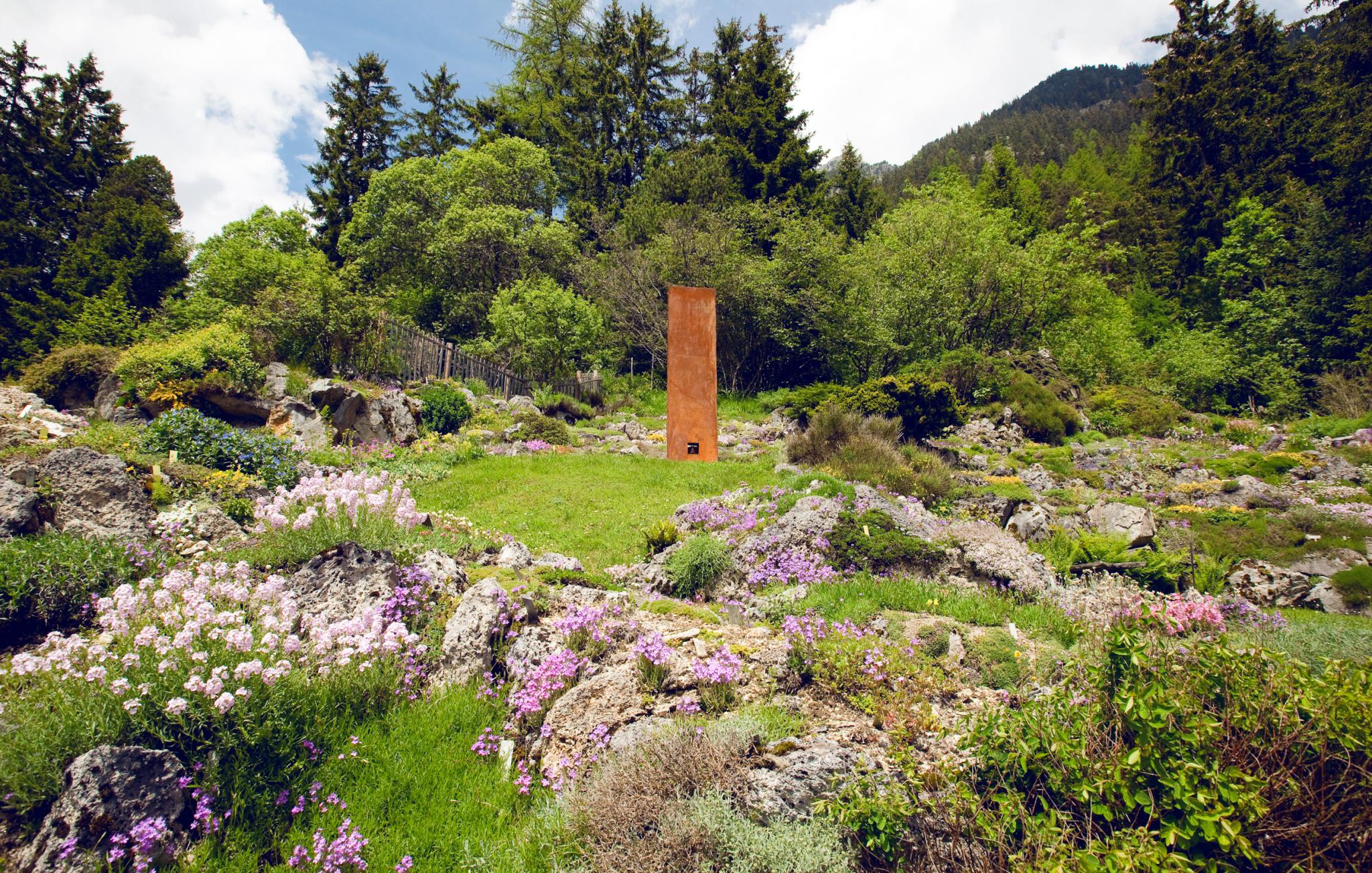 botanischer-alpengarten-flore-alpe.jpeg