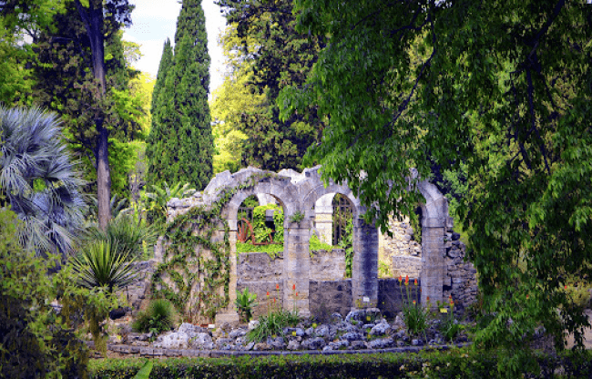 Jardin des Plantes, Montpellier, France _ Gwendolyn Stansbury _ Flickr.jpg