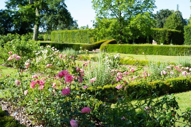 6-Château d’Ainay-le-Vieil Rose garden © Arielle de La Tour d’Auvergne (3).jpg